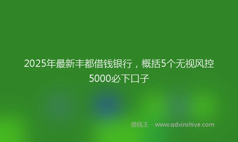2025年最新丰都借钱银行，概括5个无视风控5000必下口子
