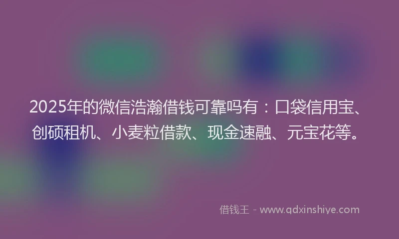 2025年的微信浩瀚借钱可靠吗有：口袋信用宝、创硕租机、小麦粒借款、现金速融、元宝花等。