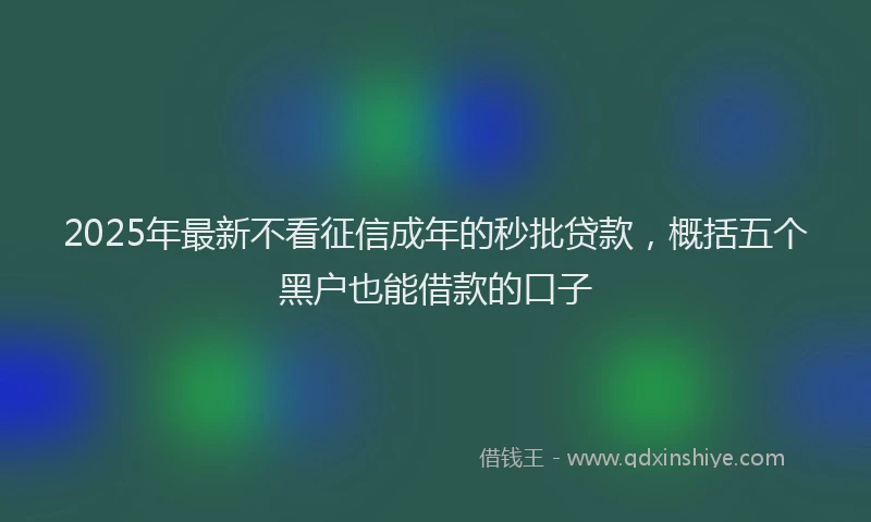 2025年最新不看征信成年的秒批贷款，概括五个黑户也能借款的口子