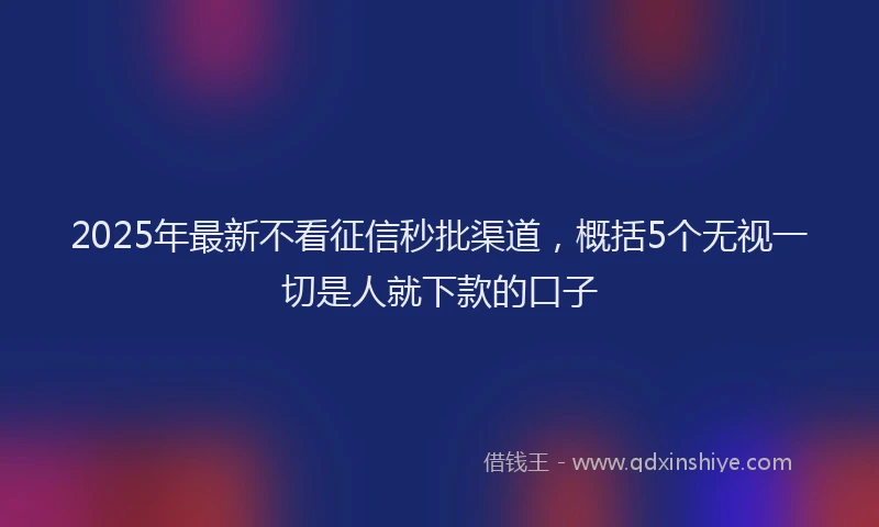 2025年最新不看征信秒批渠道，概括5个无视一切是人就下款的口子