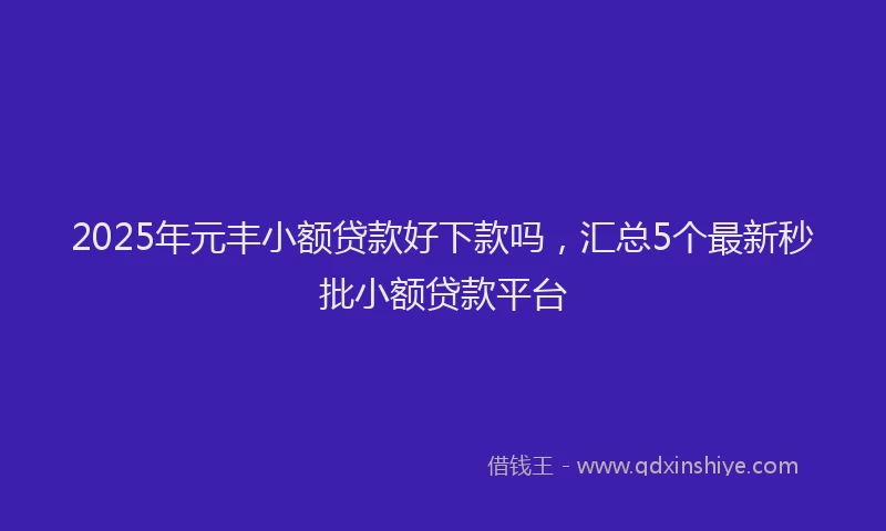 2025年元丰小额贷款好下款吗，汇总5个最新秒批小额贷款平台