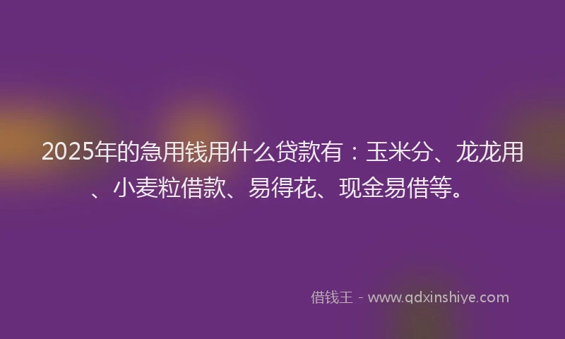 2025年的急用钱用什么贷款有：玉米分、龙龙用、小麦粒借款、易得花、现金易借等。