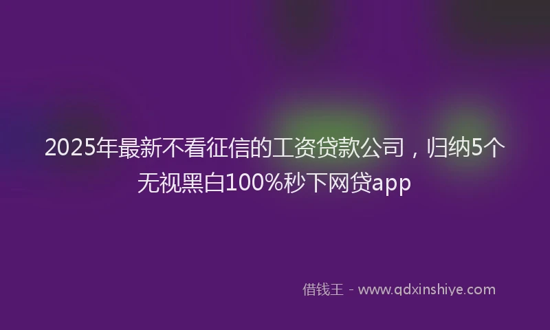 2025年最新不看征信的工资贷款公司，归纳5个无视黑白100%秒下网贷app