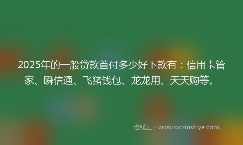 2025年的一般贷款首付多少好下款有：信用卡管家、瞬信通、飞猪钱包、龙龙用、天天购等。