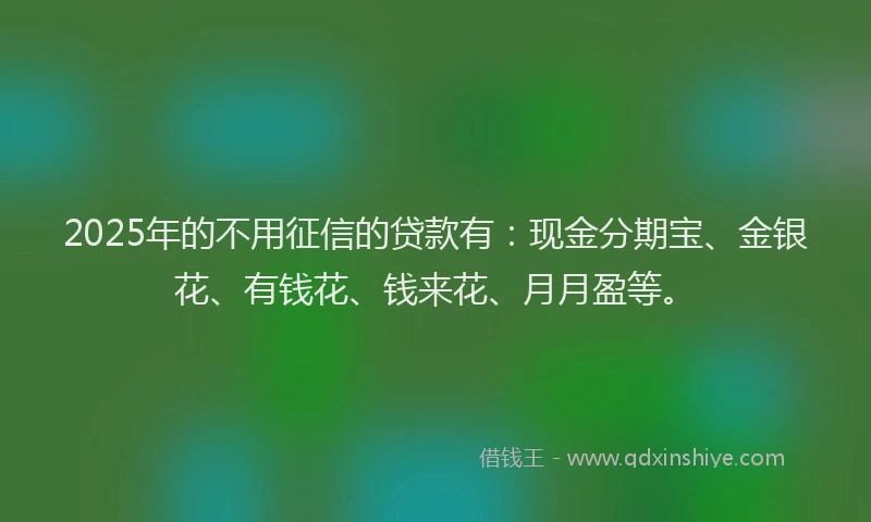 2025年的不用征信的贷款有：现金分期宝、金银花、有钱花、钱来花、月月盈等。