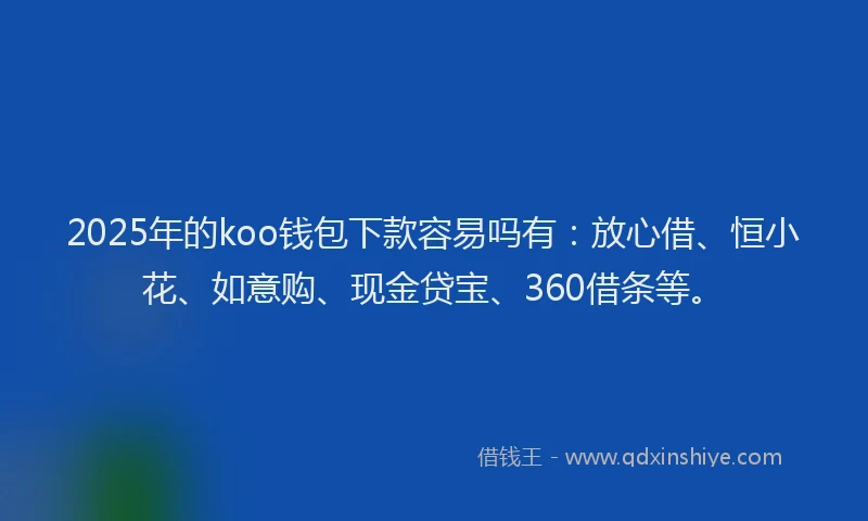 2025年的koo钱包下款容易吗有：放心借、恒小花、如意购、现金贷宝、360借条等。