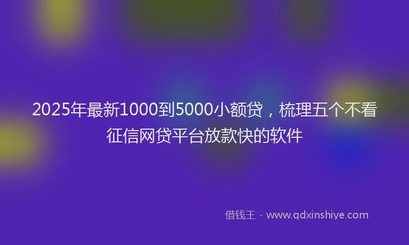 2025年最新1000到5000小额贷，梳理五个不看征信网贷平台放款快的软件