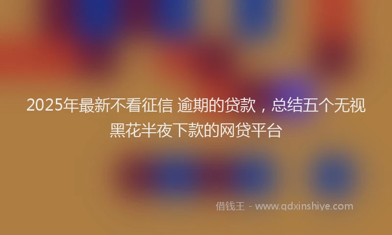 2025年最新不看征信 逾期的贷款，总结五个无视黑花半夜下款的网贷平台