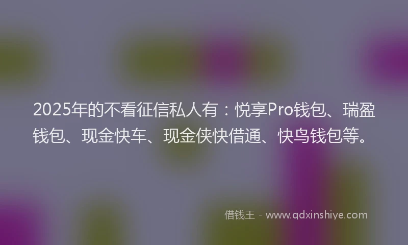 2025年的不看征信私人有：悦享Pro钱包、瑞盈钱包、现金快车、现金侠快借通、快鸟钱包等。