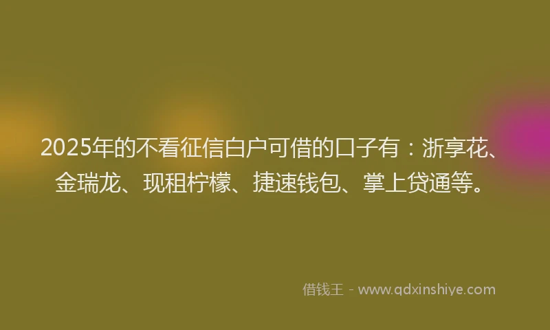 2025年的不看征信白户可借的口子有：浙享花、金瑞龙、现租柠檬、捷速钱包、掌上贷通等。