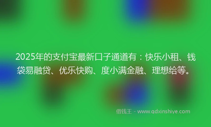 2025年的支付宝最新口子通道有：快乐小租、钱袋易融贷、优乐快购、度小满金融、理想给等。
