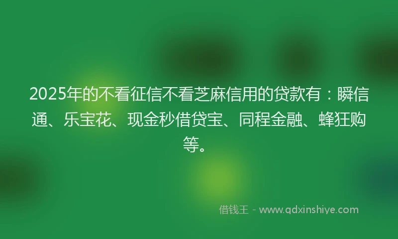 2025年的不看征信不看芝麻信用的贷款有：瞬信通、乐宝花、现金秒借贷宝、同程金融、蜂狂购等。