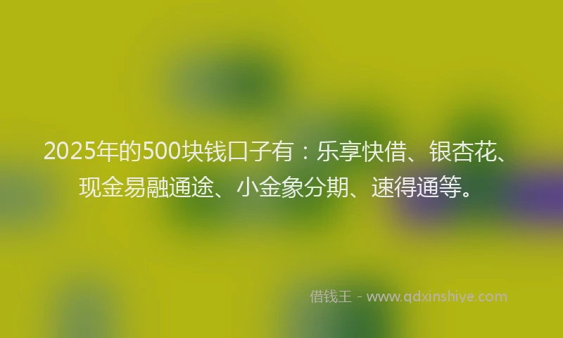 2025年的500块钱口子有：乐享快借、银杏花、现金易融通途、小金象分期、速得通等。