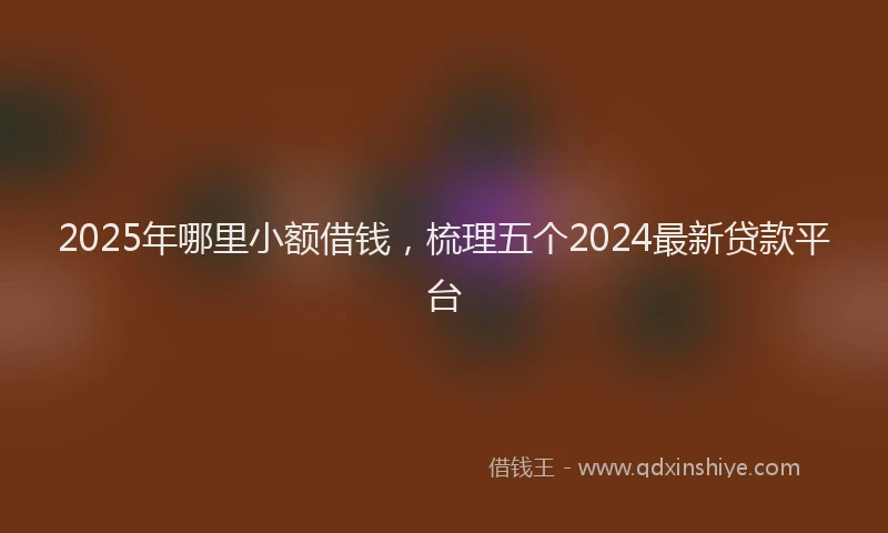 2025年哪里小额借钱，梳理五个2024最新贷款平台