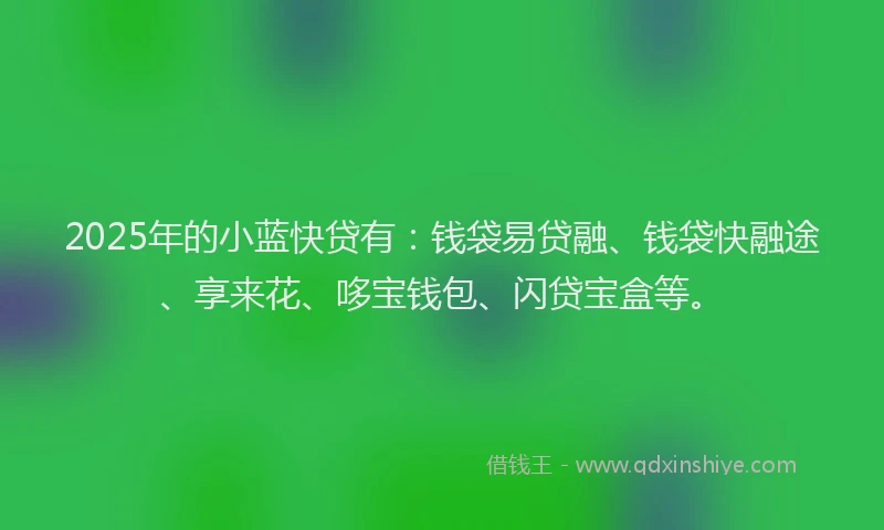 2025年的小蓝快贷有：钱袋易贷融、钱袋快融途、享来花、哆宝钱包、闪贷宝盒等。