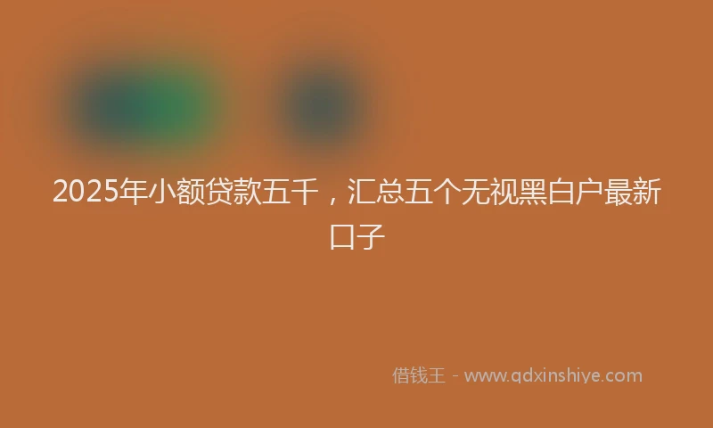 2025年小额贷款五千，汇总五个无视黑白户最新口子