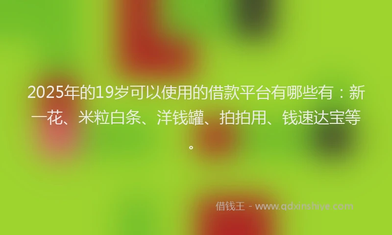 2025年的19岁可以使用的借款平台有哪些有：新一花、米粒白条、洋钱罐、拍拍用、钱速达宝等。