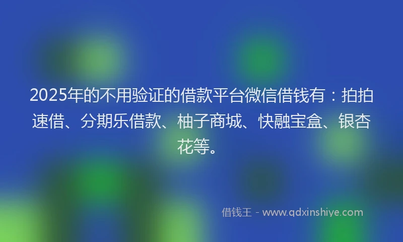 2025年的不用验证的借款平台微信借钱有：拍拍速借、分期乐借款、柚子商城、快融宝盒、银杏花等。