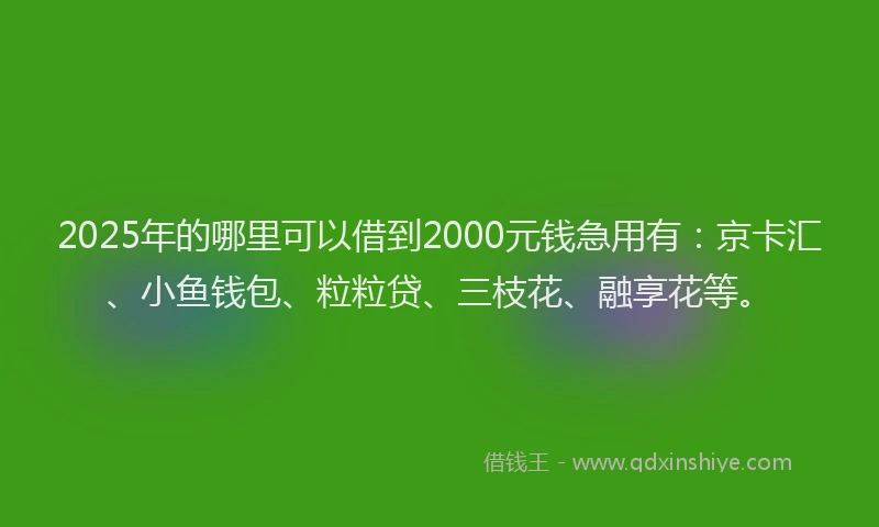2025年的哪里可以借到2000元钱急用有：京卡汇、小鱼钱包、粒粒贷、三枝花、融享花等。