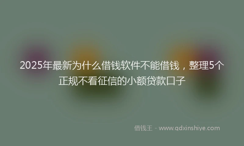 2025年最新为什么借钱软件不能借钱，整理5个正规不看征信的小额贷款口子