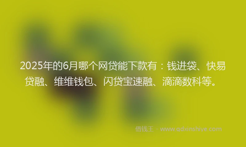 2025年的6月哪个网贷能下款有：钱进袋、快易贷融、维维钱包、闪贷宝速融、滴滴数科等。