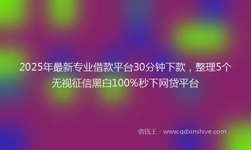 2025年最新专业借款平台30分钟下款，整理5个无视征信黑白100%秒下网贷平台