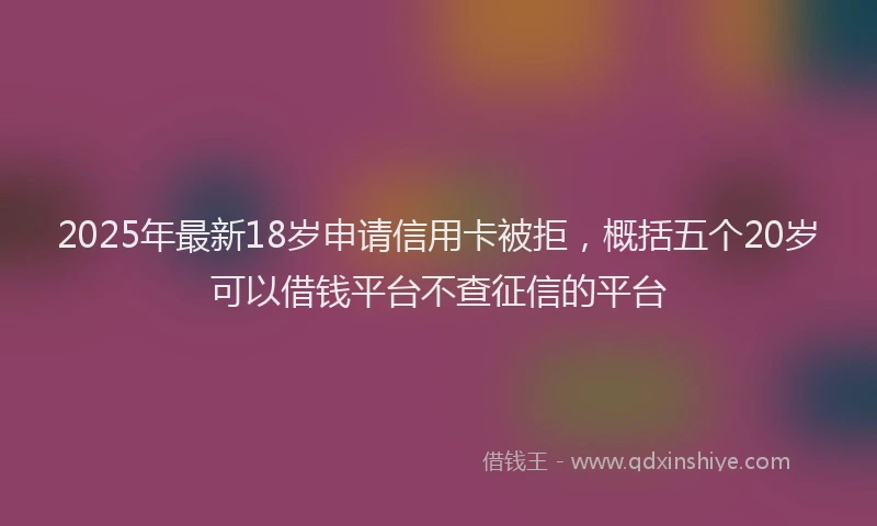 2025年最新18岁申请信用卡被拒，概括五个20岁可以借钱平台不查征信的平台