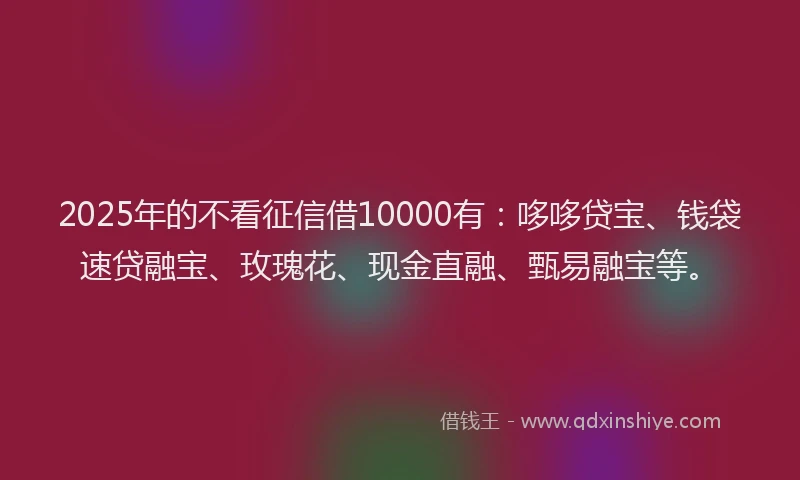 2025年的不看征信借10000有：哆哆贷宝、钱袋速贷融宝、玫瑰花、现金直融、甄易融宝等。