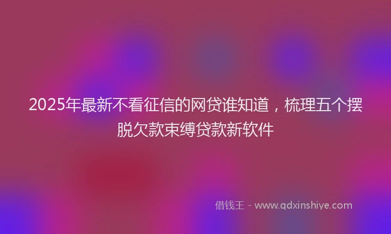 2025年最新不看征信的网贷谁知道，梳理五个摆脱欠款束缚贷款新软件