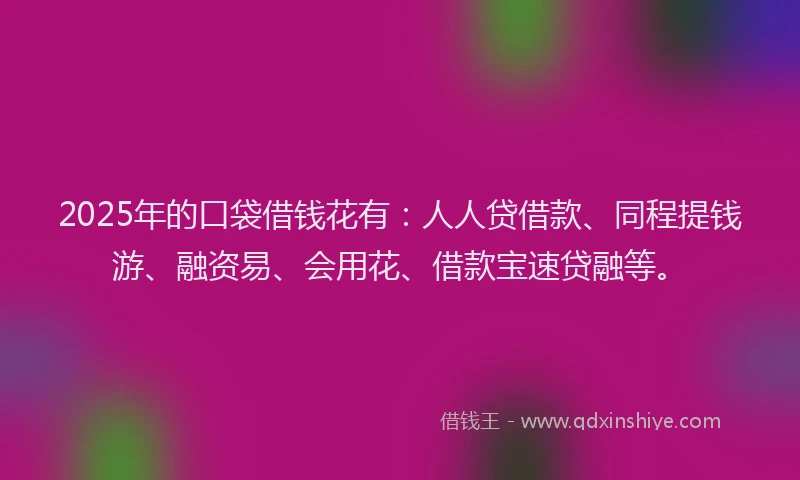 2025年的口袋借钱花有：人人贷借款、同程提钱游、融资易、会用花、借款宝速贷融等。