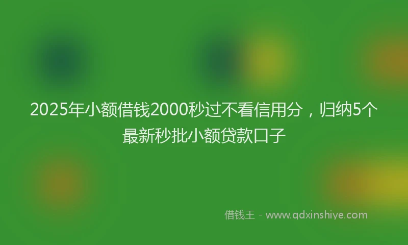 2025年小额借钱2000秒过不看信用分，归纳5个最新秒批小额贷款口子