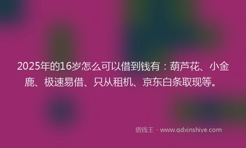 2025年的16岁怎么可以借到钱有：葫芦花、小金鹿、极速易借、只从租机、京东白条取现等。
