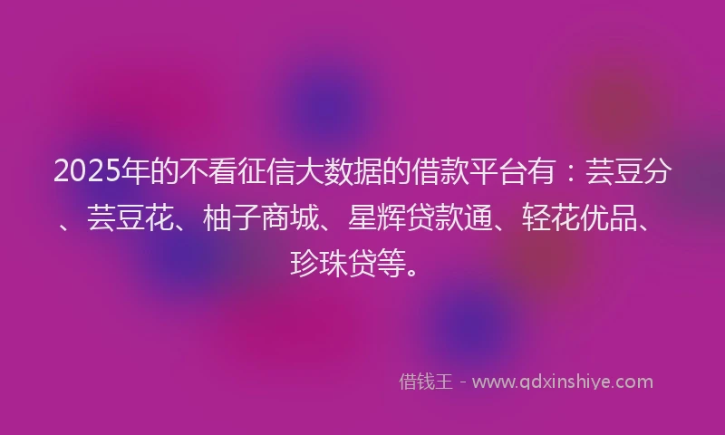 2025年的不看征信大数据的借款平台有：芸豆分、芸豆花、柚子商城、星辉贷款通、轻花优品、珍珠贷等。