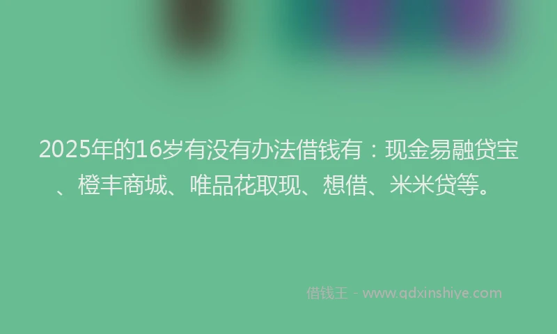 2025年的16岁有没有办法借钱有：现金易融贷宝、橙丰商城、唯品花取现、想借、米米贷等。