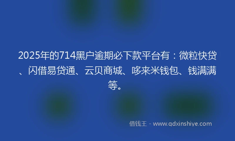 2025年的714黑户逾期必下款平台有：微粒快贷、闪借易贷通、云贝商城、哆来米钱包、钱满满等。