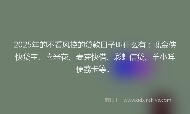 2025年的不看风控的贷款口子叫什么有：现金侠快贷宝、喜米花、麦芽快借、彩虹信贷、羊小咩便荔卡等。