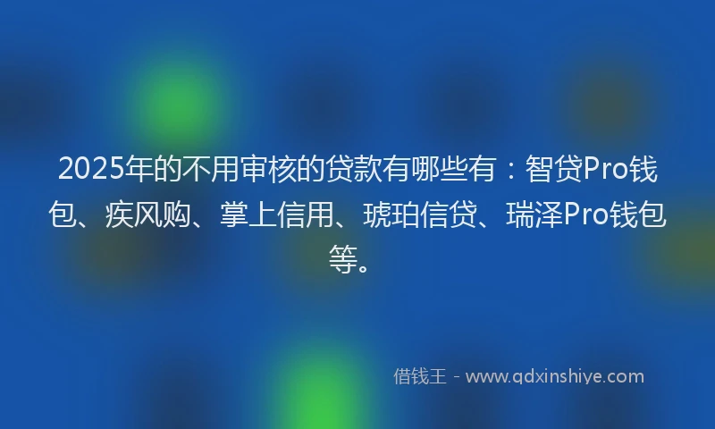 2025年的不用审核的贷款有哪些有：智贷Pro钱包、疾风购、掌上信用、琥珀信贷、瑞泽Pro钱包等。