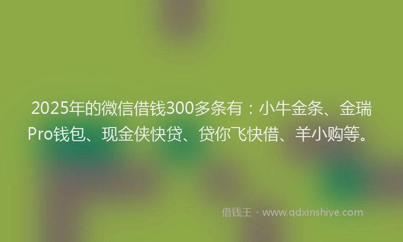 2025年的微信借钱300多条有：小牛金条、金瑞Pro钱包、现金侠快贷、贷你飞快借、羊小购等。