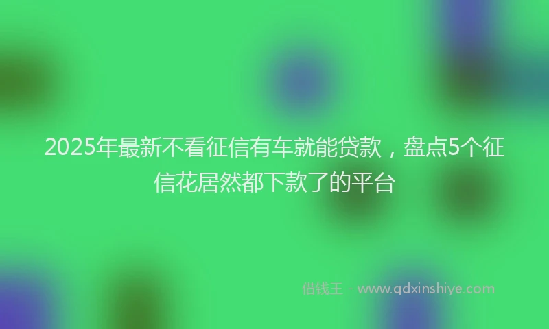 2025年最新不看征信有车就能贷款，盘点5个征信花居然都下款了的平台
