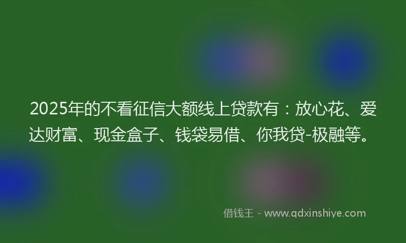 2025年的不看征信大额线上贷款有：放心花、爱达财富、现金盒子、钱袋易借、你我贷-极融等。