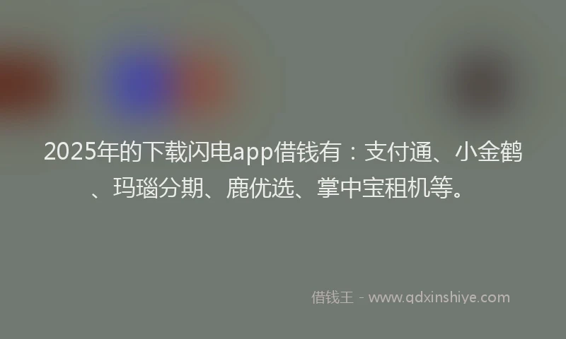 2025年的下载闪电app借钱有：支付通、小金鹤、玛瑙分期、鹿优选、掌中宝租机等。