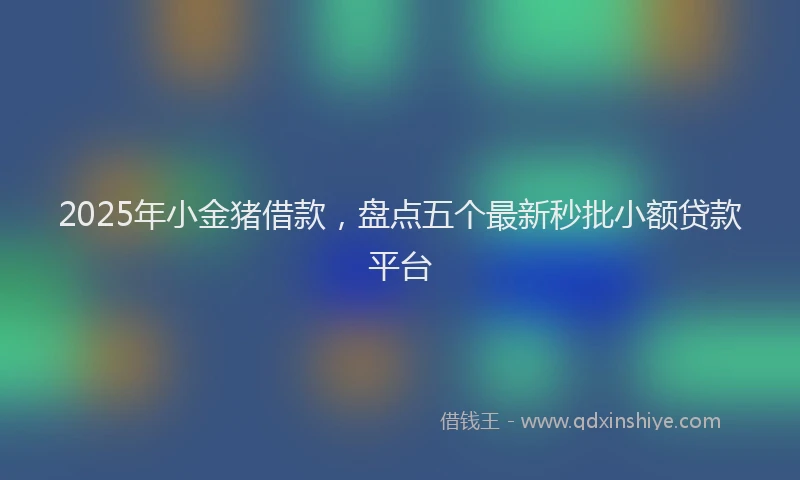 2025年小金猪借款，盘点五个最新秒批小额贷款平台