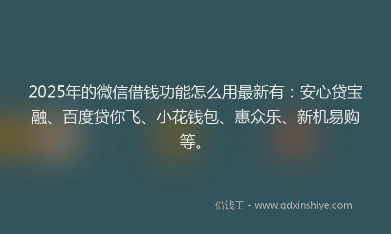 2025年的微信借钱功能怎么用最新有：安心贷宝融、百度贷你飞、小花钱包、惠众乐、新机易购等。