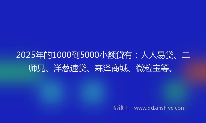 2025年的1000到5000小额贷有：人人易贷、二师兄、洋葱速贷、森泽商城、微粒宝等。