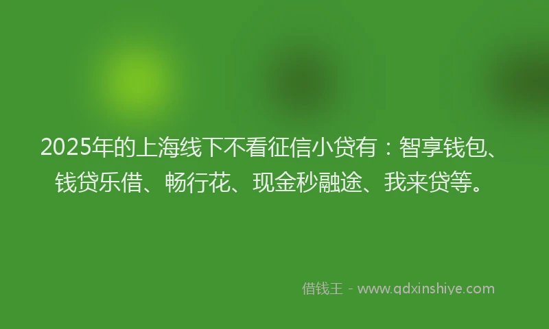 2025年的上海线下不看征信小贷有：智享钱包、钱贷乐借、畅行花、现金秒融途、我来贷等。
