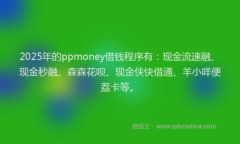 2025年的ppmoney借钱程序有：现金流速融、现金秒融、森森花呗、现金侠快借通、羊小咩便荔卡等。