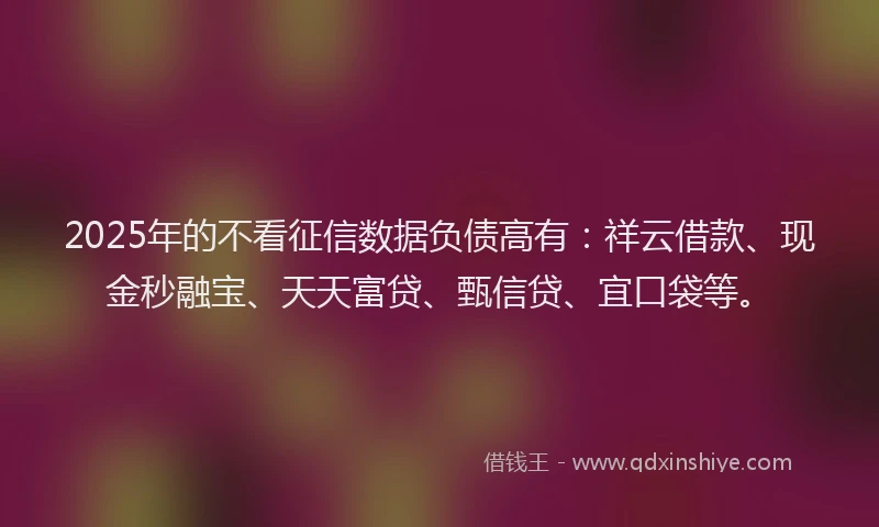2025年的不看征信数据负债高有：祥云借款、现金秒融宝、天天富贷、甄信贷、宜口袋等。