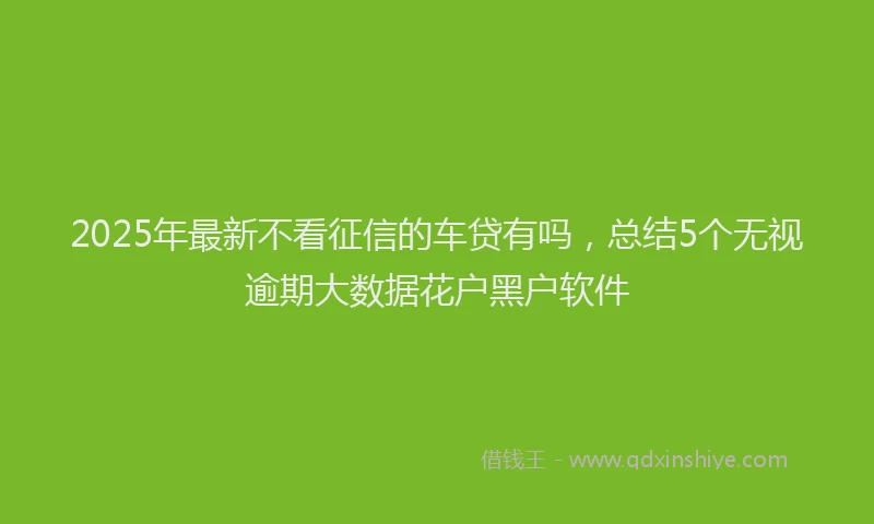 2025年最新不看征信的车贷有吗，总结5个无视逾期大数据花户黑户软件