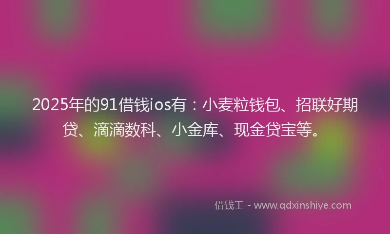 2025年的91借钱ios有：小麦粒钱包、招联好期贷、滴滴数科、小金库、现金贷宝等。
