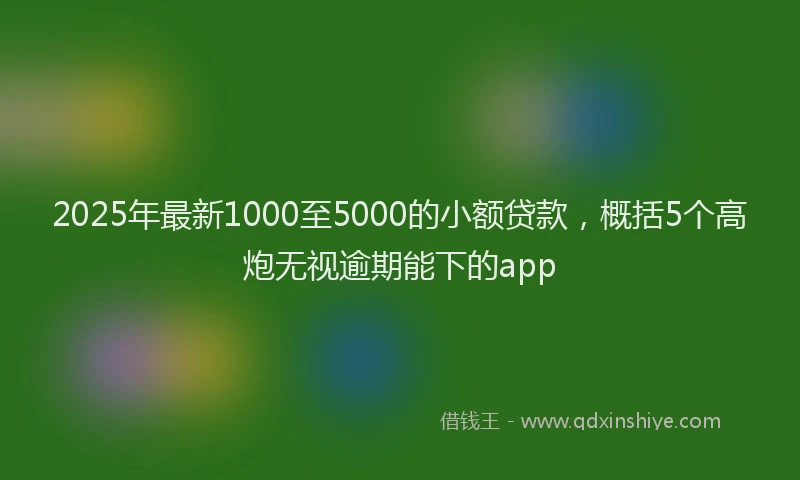 2025年最新1000至5000的小额贷款，概括5个高炮无视逾期能下的app